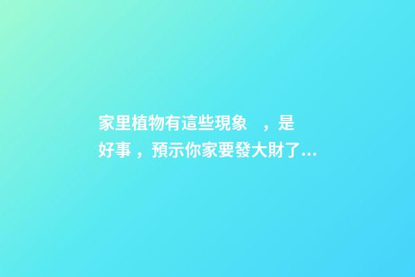 家里植物有這些現象，是好事，預示你家要發大財了！